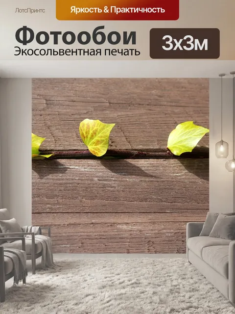 Фотообои Плющ
