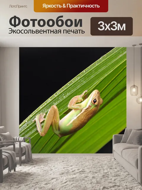 Фотообои Лягушка на пальмовых листьев