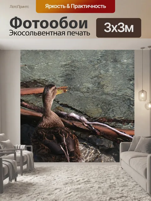 Фотообои Утка