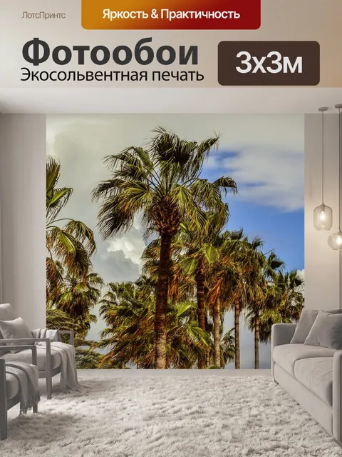 Фотообои Пальмы