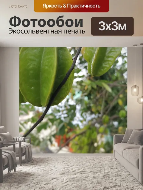 Фотообои Kamranga