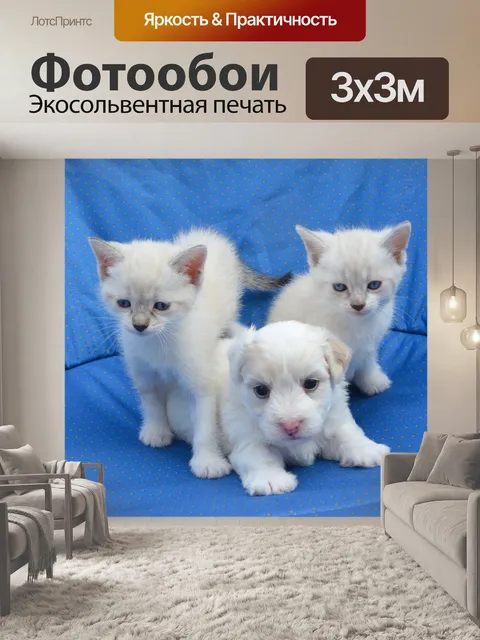 Фотообои Щенок