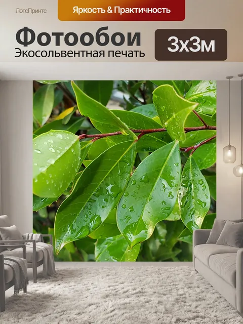 Фотообои Капли дождя на зеленых листьях