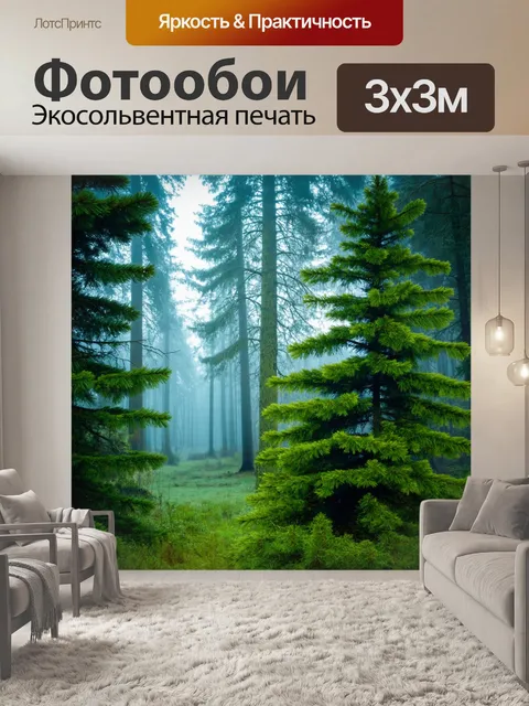 Фотообои утренний туман над хвойными деревьями