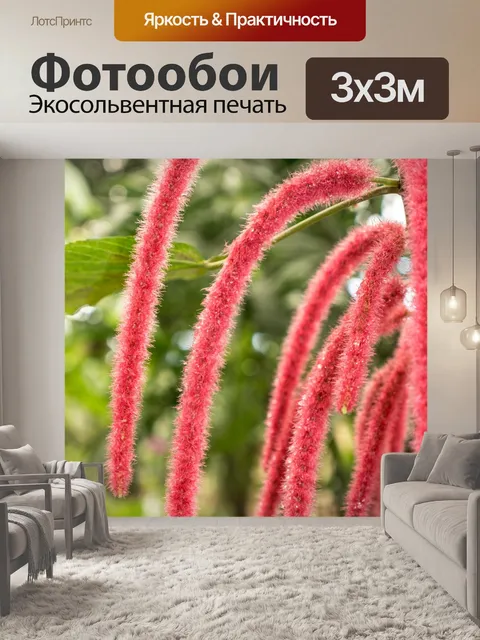 Фотообои Сад бабочек бенальмадена