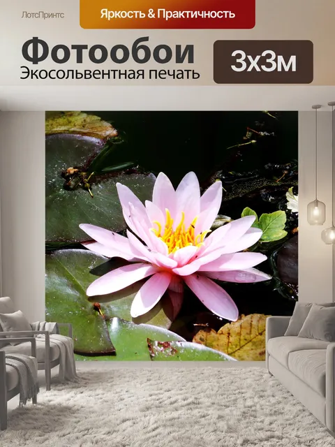 Фотообои Розовый