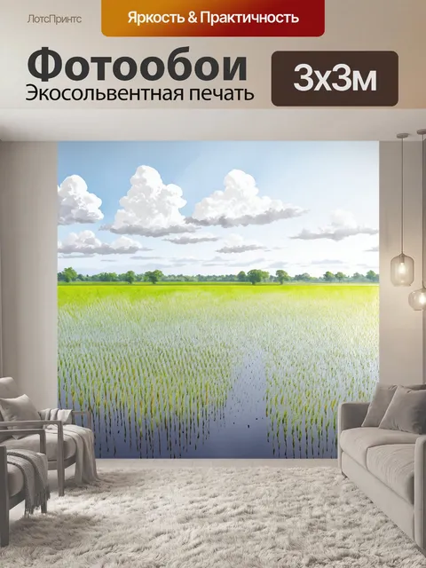 Фотообои китай: рисовый пол, залитый водой, отражающий облачное небо и мягкий свет солнца