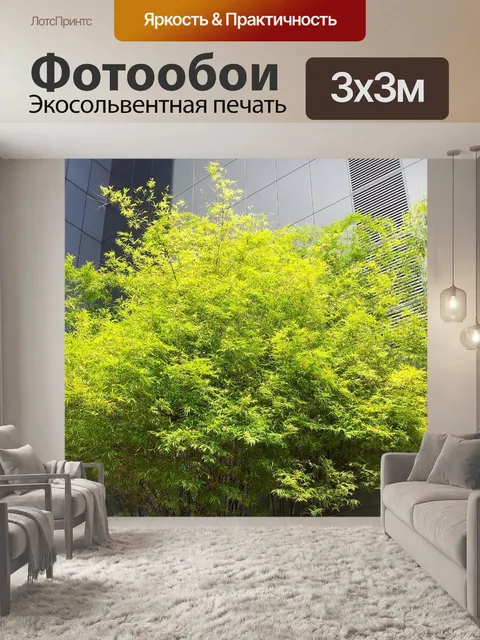 Фотообои зеленого бамбука