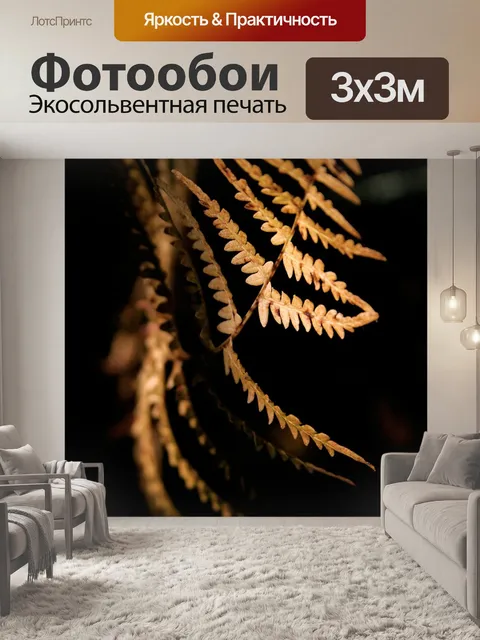Фотообои Черный