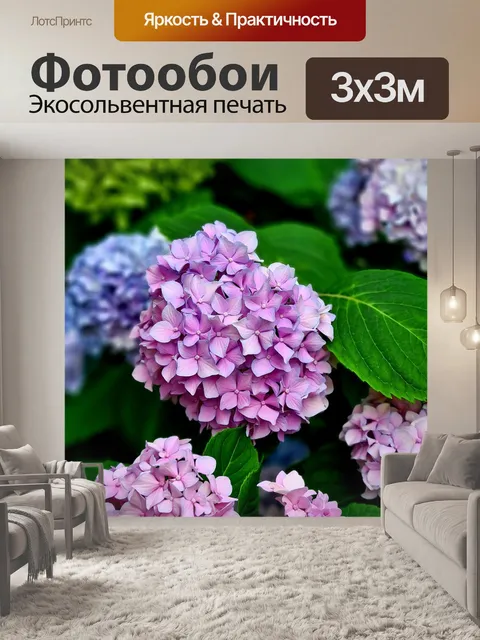 Фотообои Гортензия цветы природа фиолетовый