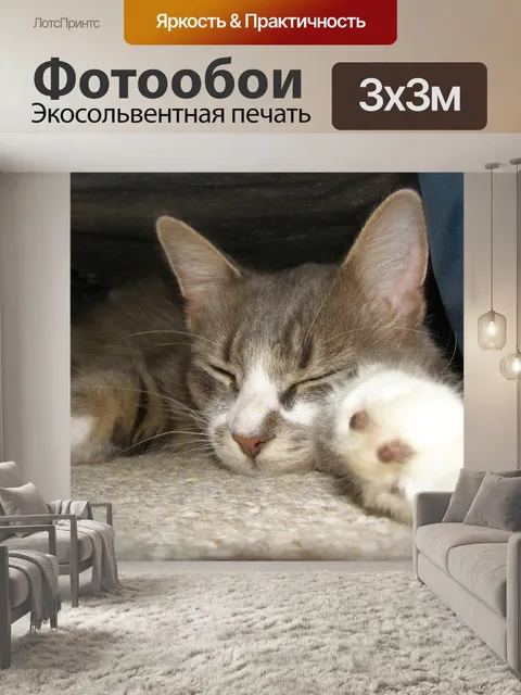 Фотообои Спать