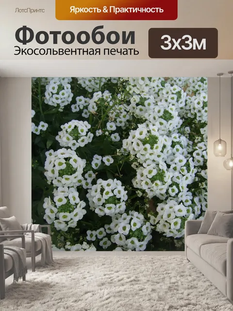 Фотообои Небольшие белые цветы