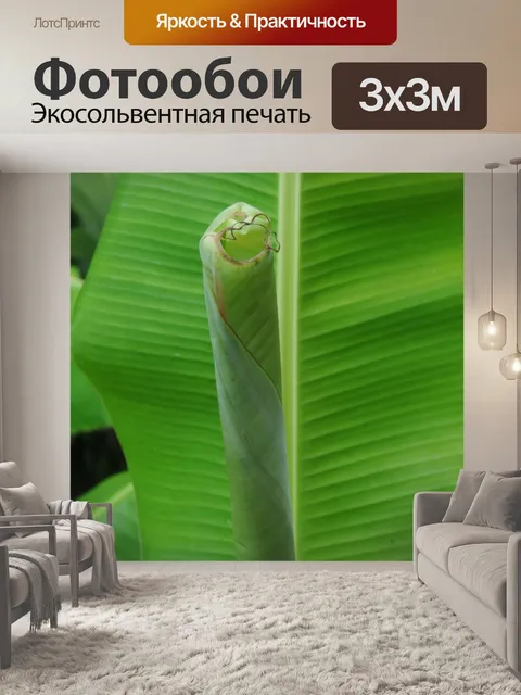 Фотообои Лист