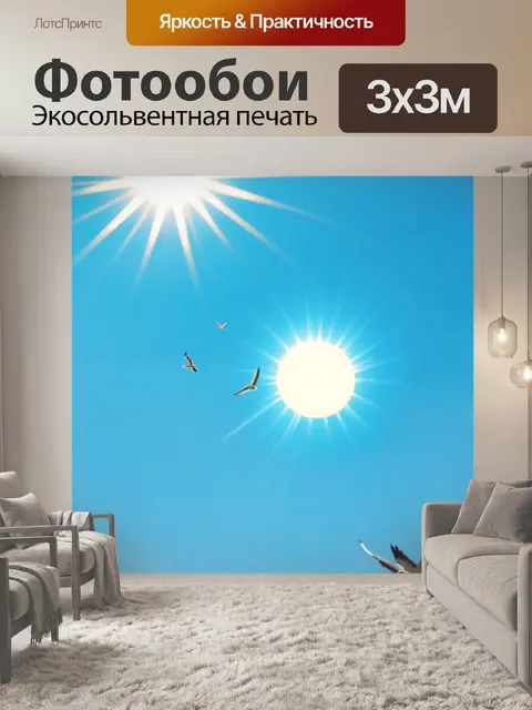 Фотообои птички, парящие под ярким солнцем