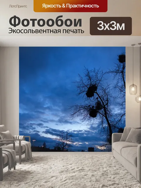 Фотообои Дерево