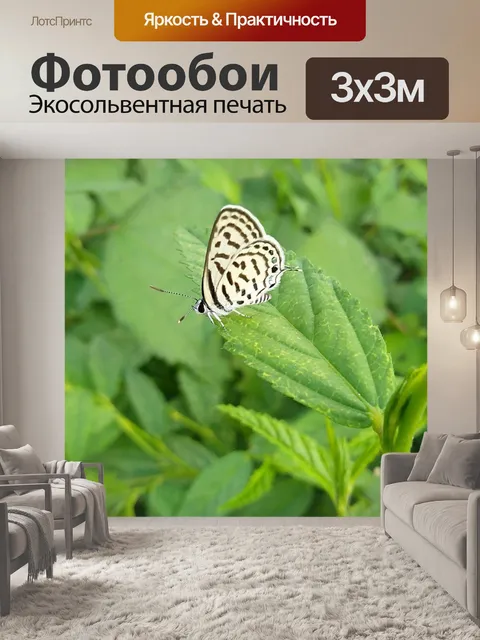 Фотообои Красивые картинки