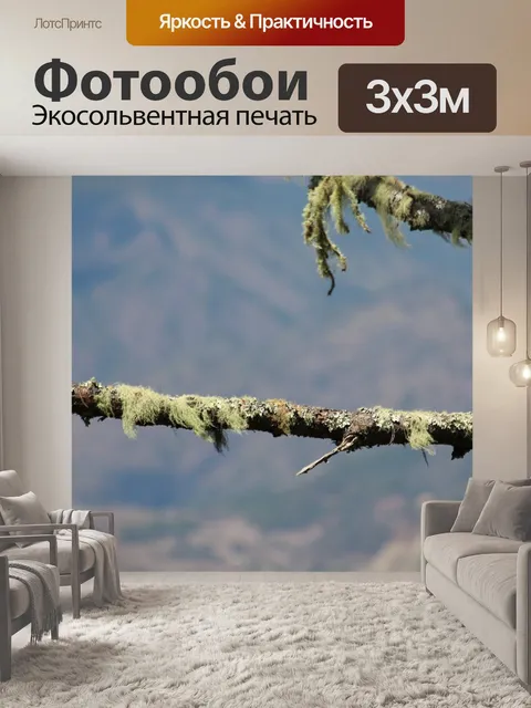 Фотообои Лишайник