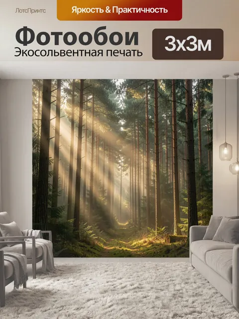 Фотообои Солнечный сосновый лес