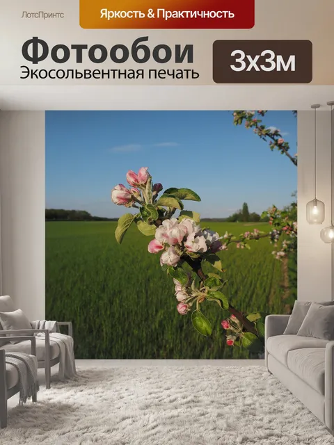 Фотообои Яблоко