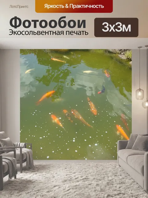 Фотообои Рыбы