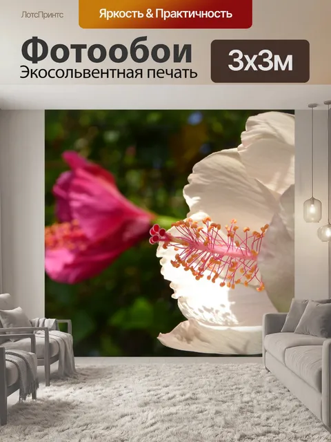 Фотообои Крупным планом цветок гибискуса