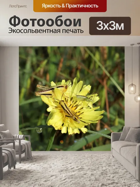 Фотообои Желтые кузнечики едят цветы