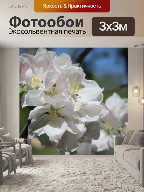 Фотообои Цветение яблони