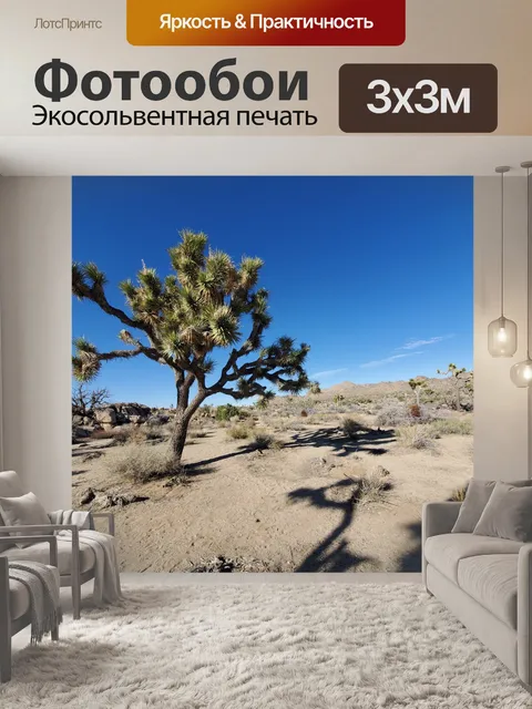 Фотообои Пейзаж Пустыни Джошуа-Три