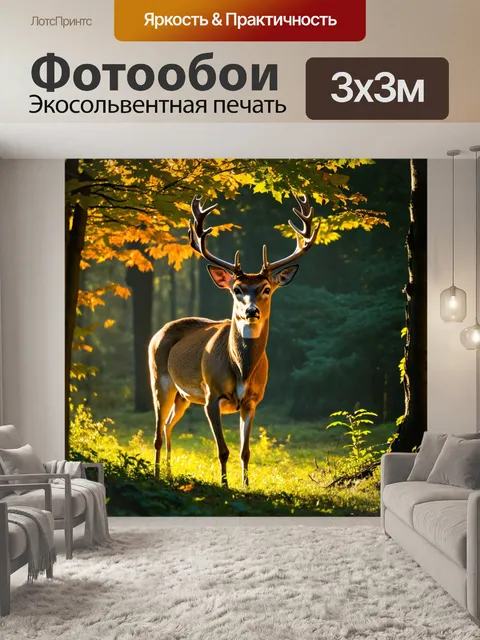 Фотообои олень с величественными рогами