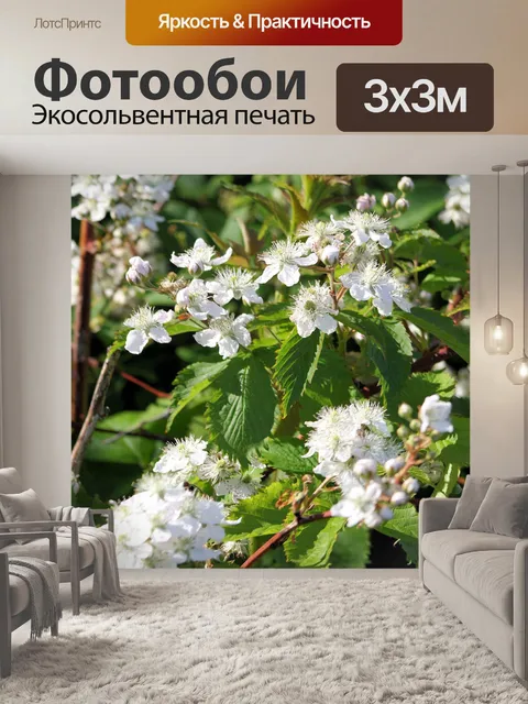 Фотообои Белый Флауэринг Буш