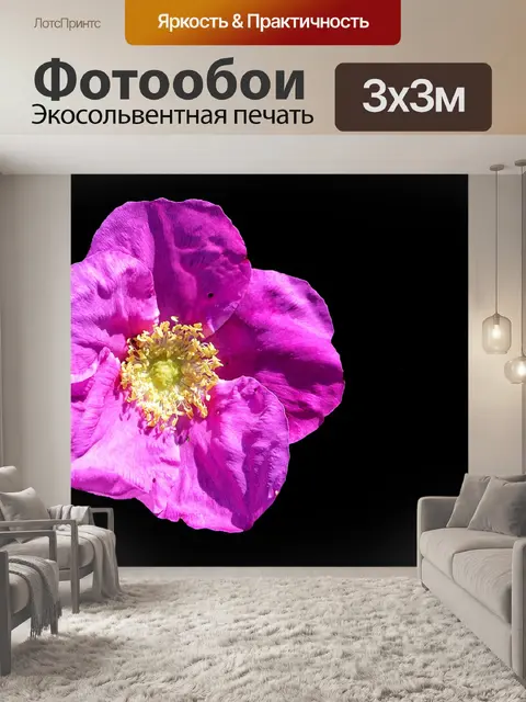 Фотообои Шиповник