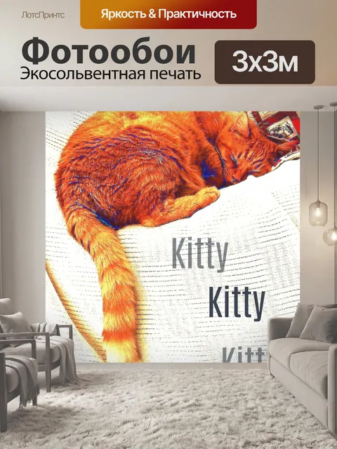 Фотообои Рыжий кот