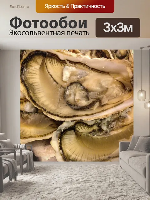 Фотообои Ракушки