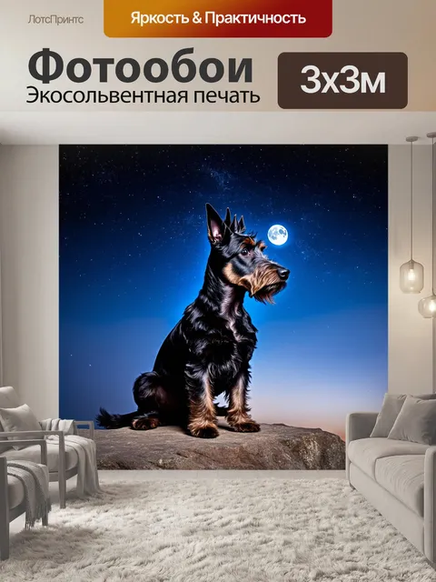 Фотообои шотландский терьер на фоне звездного ночного неба, сидящий на утесе, смотрящий вдаль