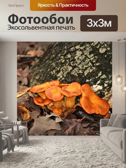 Фотообои Джек-О-Фонарь Грибы 2