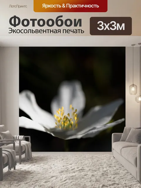 Фотообои Цветок