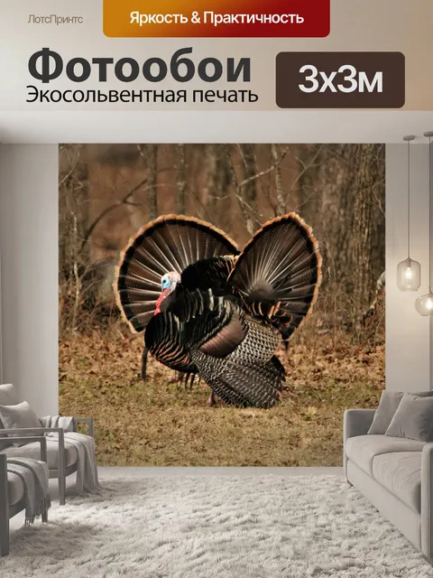 Фотообои Два Тома Турции