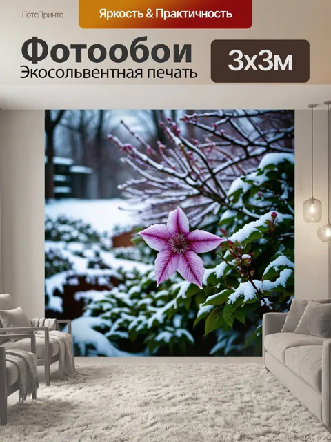 Фотообои зимний сад с клематисом, распускающимся на фоне холодного снега