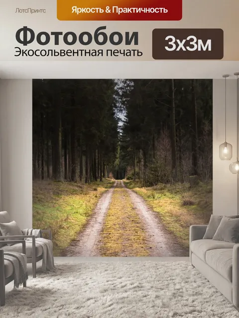 Фотообои Грязная дорога
