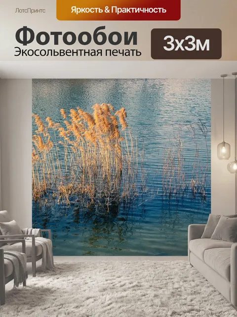 Фотообои Тростник