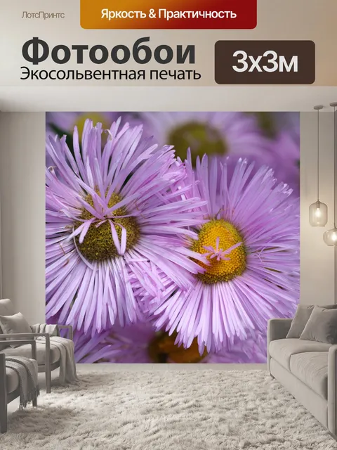Фотообои Цветы