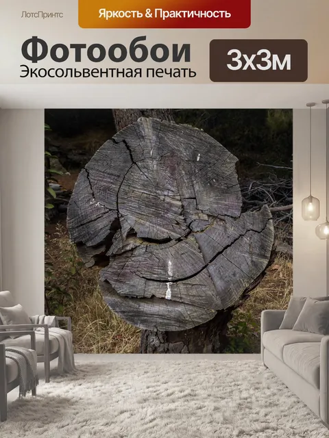 Фотообои Улыбающийся ствол дерева
