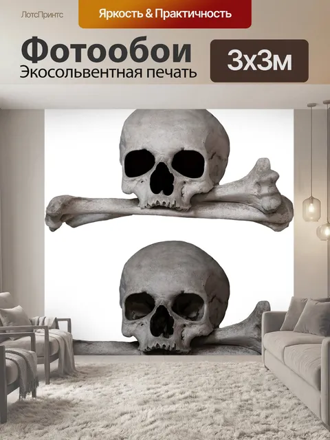 Фотообои Кость