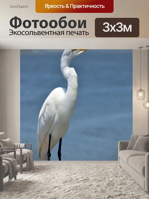 Фотообои Белая цапля
