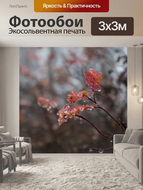Фотообои Роса