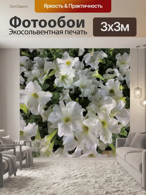 Фотообои Белые цветы