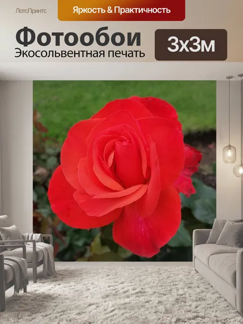 Фотообои Красный
