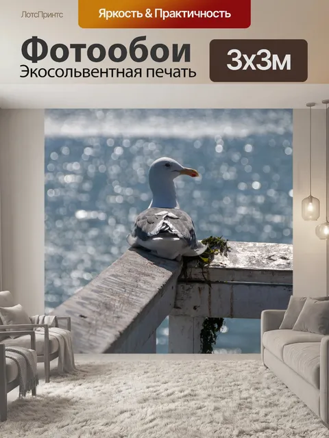 Фотообои Чайка на углу пирса