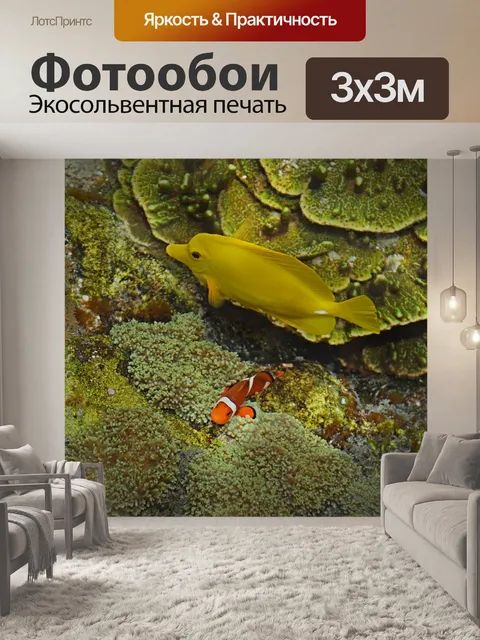Фотообои Окружающая среда