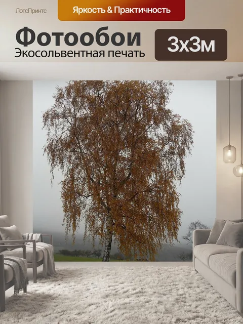 Фотообои Береза